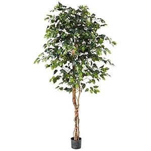 Nearly Natural 6ft. Ficus Silk Tree