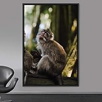 Framed Canvas Wall Art Monkey Animals Expressive Farmhouse/Country Living Room Monkey Multicolor Photography - 16x24 inches