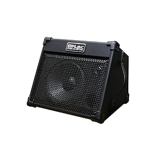 Coolmusic BP40 40W amplificateur de guitare acoustique portable alimenté par batterie, pour les artistes en déplacement… - Les Beatles, Paul McCartney, John Lennon, RIngo Starr, George Harrison