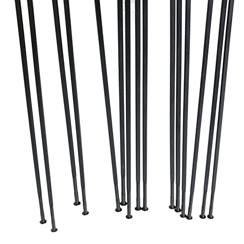 Rayons plats 1423 VTT acier inoxydable traction droite 14G