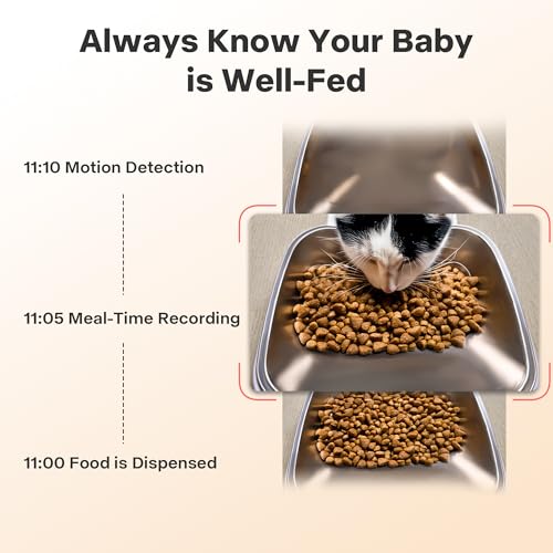 Smart Pet Feeder with Camera and Audio