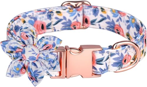 Collier tendance for chiot boucle en métal réglable avec laisse orange