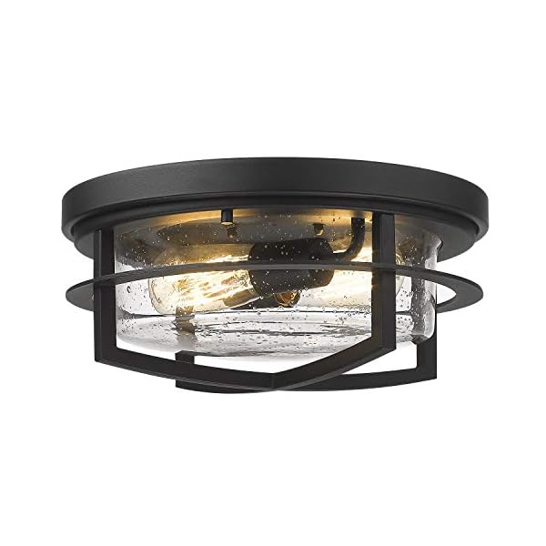Zeyu Ceiling Light Fixture, Industrial Flush Mount Ceiling Light with Seeded Glass Cover, Black