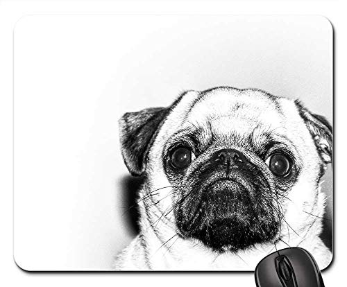 �Q�[���}�E�X�p�b�h�A�}�E�X�}�b�g�APug Dog�y�b�g����Cute Puppy Funny Adorable