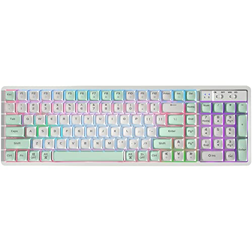 Fogruaden Hot Swappable Mechanical Keyboard, Light Gasket-Mounted, 102 Keys Rgb Rainbow Backlit, Wired Ergonomic Full Size Keyboard For Win/Mac Pc Gamer, Mechanical Golden Switches(Matcha Green) #TOP6