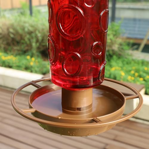 Juegoal Glass Wild Bird Waterer, 28 oz Wild Bird Feeder for Outdoors, Water Cooler with Metal Handle Hanging for Garden Tree Yard Outside Decoration, Red - Image 4
