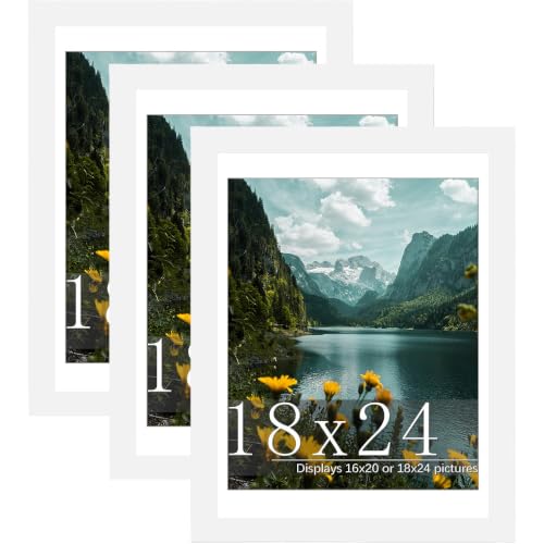Image of Picrit 18x24 White Poster Frame, Picture Frame for Wall, 3 Pack