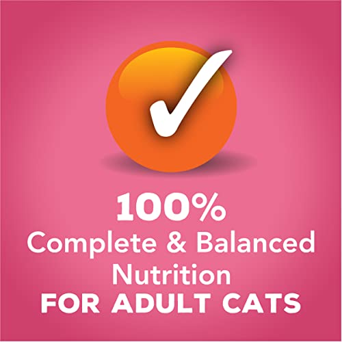 Purina Friskies Gravy Wet Cat Food Variety Pack, Gravy Sensations Surfin' And Turfin' Pouches - (12) 3 Oz. Pouches #TOP4