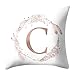 suoryisrty Square Decorativo per la Camera da Letto per Bambini Federa per Cuscino in Oro Rosa Alfabeto con Lettera Corona Copricuscino Stampato in Piuma Velluto Color Pesca