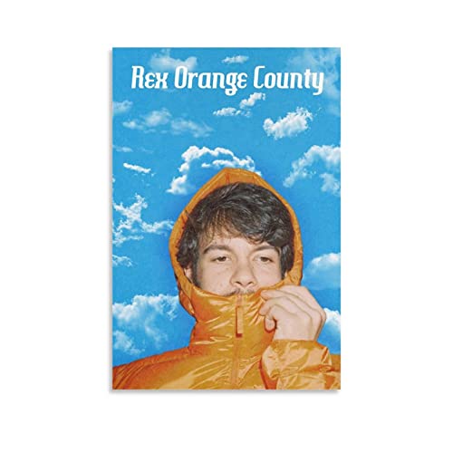 Poster Rex Orange County pour habiller un mur vide de bureau ou chambre