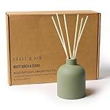 Craft & Kin Reed Diffuser for Home & Bathroom – White Birch & Cedar Holiday Reed Diffuser Set with Fragrance Sticks, Long-Lasting Alcohol-Free Winter Scent, Earthenware Collection, 6.7oz