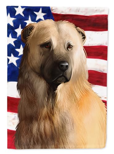 Drapeau Afghan Shepherd en toile de maison pavillon multicolore extérieur - 2