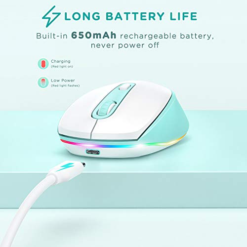 https://m.media-amazon.com/images/I/41bVNCIaLLL._SL500_.jpg