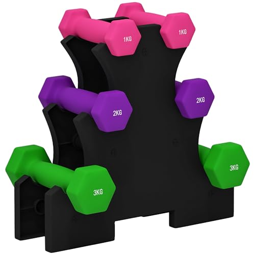SPORTNOW Juego de Mancuernas Hexagonal con Soporte