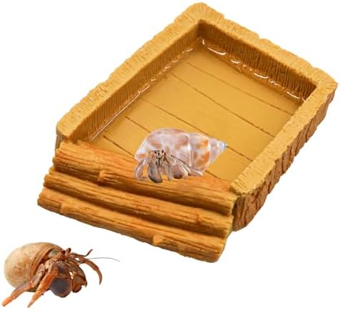 Tanque de água de caranguejo eremita, piscina de água de carangue...