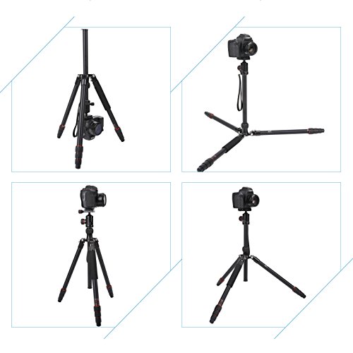 Fotopro Dslr Tripod 54 Inch 360 Panorama Ball Head Quick Release Plate Aluminum Lightweight Camera Tripod For Travel And Work,M5I Black #TOP4