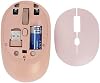 HP M231 Bluetooth & Wireless Dual Mode Wireless Silent Mouse Pink