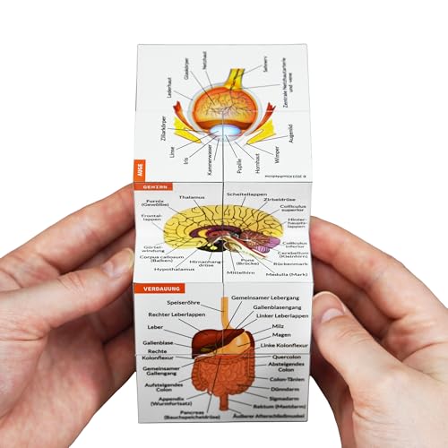 Menschliche Anatomie Studienwürfel AUF DEUTSCH | 9 Teile des menschlichen Körpers lernen | Anatomie Modellwürfel | Tolle Geschenkidee für Krankenschwestern und Medizinstudenten