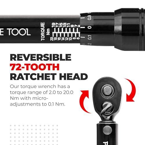 PRO BIKE TOOL Click Bicycle Torque Wrench Set, 2-20 Nm - Includes Storage Box, Allen & Torx Sockets, Extension Bar