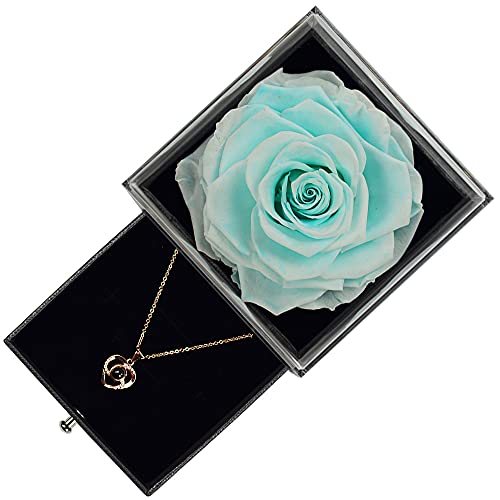 Sdfghg Preserved Real Blue Rose With Love You Necklace In 100 Languages Gift Set, Enchanted Real Rose Flower For Mother's Day Gift, Valentine's Day Anniversary Wedding Bthday Romantic Gifts For Her #TOP1