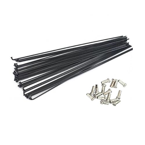 Rayons de vélo de montagne robustes en acier 259 mm pour renforcer le rayonnage de votre roue