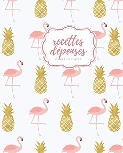 Recettes Depenses Cahier de Caisse: cahier recette depense I
