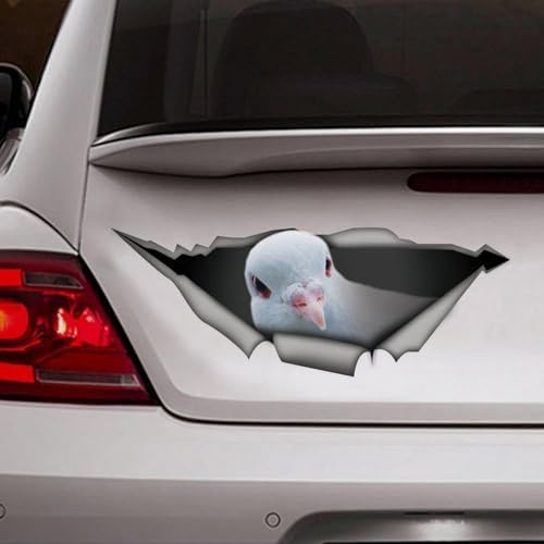 Dove Dove Car Stickers Bird 3D Window Decal Bumper Die Cut Vinyl Decal Funny Laptop Stickers Pet Gift,10 Inch image 4