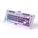 0.005mmラピッドトリガー 搭載 GravaStar Mercury V75 ゲーミングキーボード テンキーレス ポーリングレート8000Hz対応 0.125ms超低遅延 有線 着脱式ケーブル 75%レイアウト US配列 半アルミフレーム アクチュエーションポイント バックライトRGB 磁気式スイッチ ホワイト