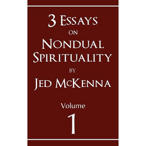 3 Essays on Nondual Spirituality by Jed McKenna Audiolibro Por Jed McKenna arte de portada