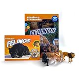 felinos salvajes  Phidal Felinos Pequeños Exploradores - Libros de actividades para niños, 22 páginas para descubrir datos curiosos, 4 figuras