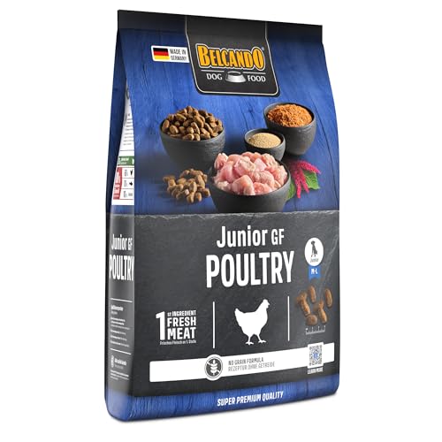 BELCANDO Junior GF Poultry [4 kg] getreidefreies Hundefutter | Trockenfutter ohne Getreide für Junge Hunde | Alleinfuttermittel für Hunde ab 4 Monaten