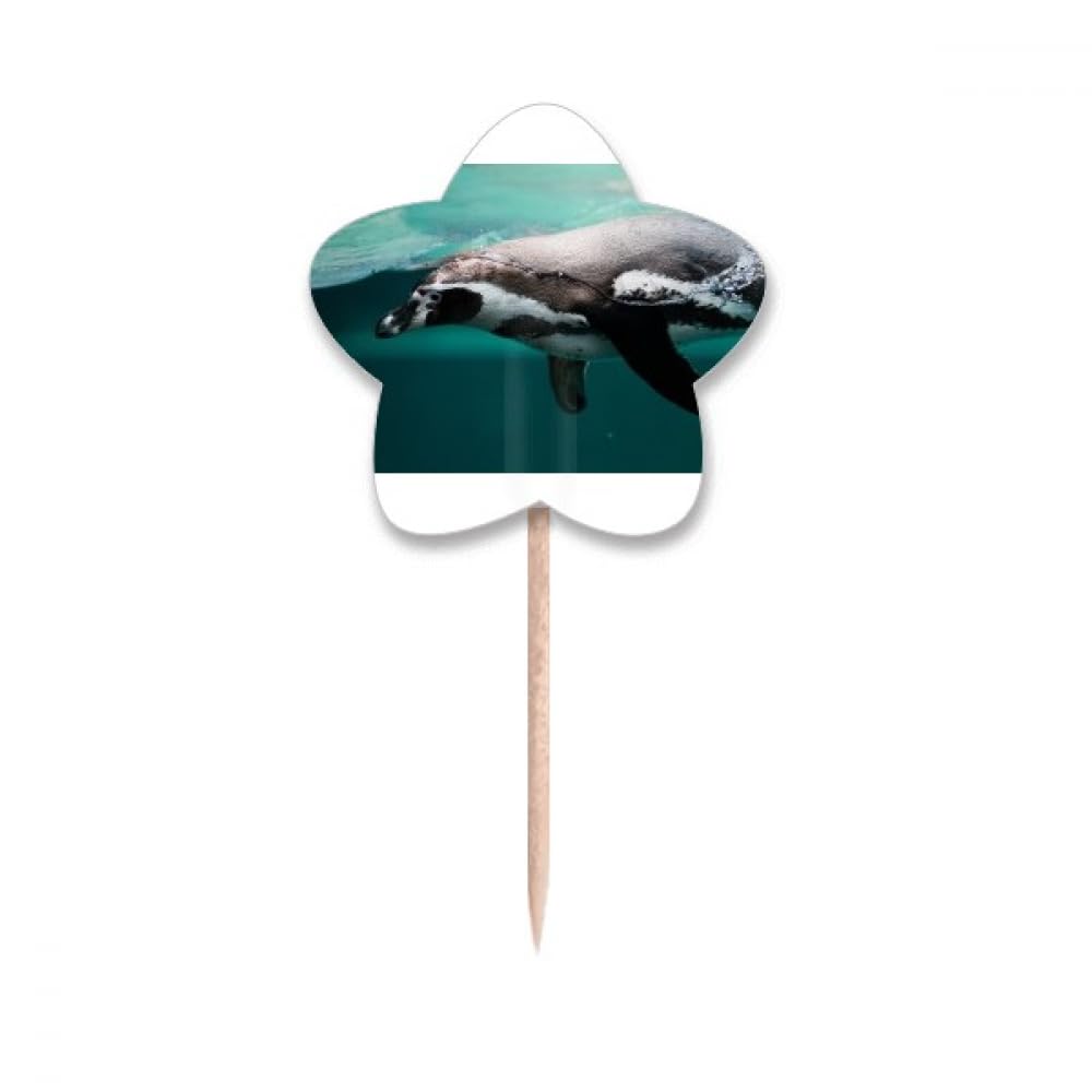Étoiles lable cupcake picks imprimés ocean pour décoration dinatoire créative