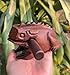 6 Inch Dark Brown Guiros Percussion Instruments Wooden Frog, Wooden Frog Musical Instrument Home Decor Handcrafted Decoration (6