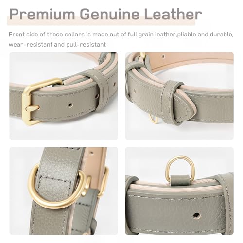 HEELE Hundehalsband Leder Hundehalsband mit gepolstert und echtes Leder, Verstellbar, Halsband für Welpen Kleine Mittel Große Hunde, Neu-Grau, S