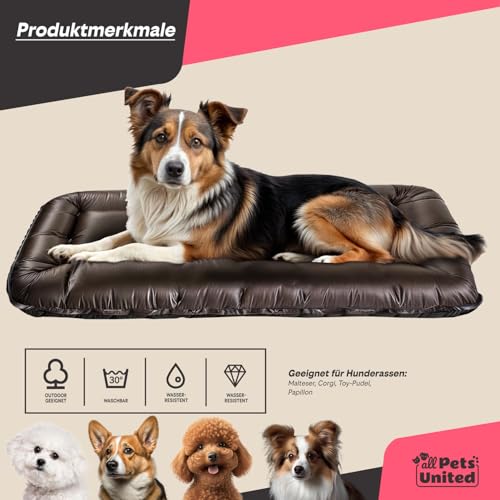 all Pets United® Hundekissen Hundebett Indoor & Outdoor; Hunde-Kissen Hunde-Körbchen; Schlafplatz für Hund & Katzen (M - 75x52 cm)