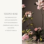 Homecourt Room Deodorant, Natural Room Spray, Fine Fragrance of Rose & Vanilla, For Kitchen, Bathroom & more, Clean Formula, Steeped Rose, 3.4 oz - Image 3