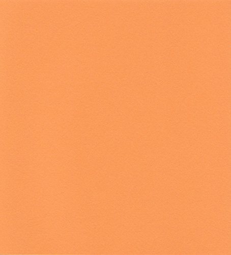 エスケント ケント紙 スターカラー 八切 ハロウィンオレンジ 100枚 5750008