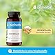 Weihrauchkapseln – 100 Stück mit Boswellia Serrata & Zink zur Erhaltung normaler Knochen – von BIOHERBA | PZN 17190878