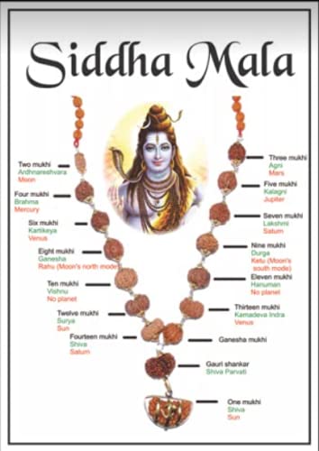 Sarva Siddha Mala सर्व सिद्धा रुद्राक्ष माला with Blessings of Lord Shiva 1-14 Mukhi Rudraksh Gauri Shankar Ganesh Rudraksha Nepali Beads Certified Sarva Siddha Mala Nepal 1 to 14 Mukhi Rudraksha Mala By Lab Bholenath Ki Mala for Men Women By Astro Cart 2