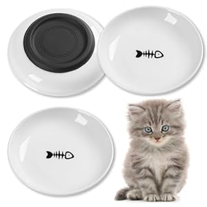 Cat Food Bowl, Whisker Friendly Ceramic Cat Bowls with Nonslip Silicone Bottom, Pack of 3 Quiet Dishes and Plates for Feeding Indoor Cats, Kittens and Small Dogs(Fishbone,Shallower)