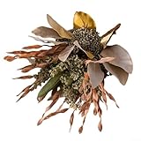 Drivstraw Flores artificiales de okra y plantas de algas marinas para decoración del hogar, lugares de boda, hoteles y salas de estar, arreglo floral de plástico realista de 35 cm de alto, color verde