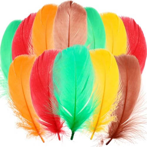 Maysing 500 Pcs Thanksgiving Colorful Craft Turkey Feathers 2-5 Inch
