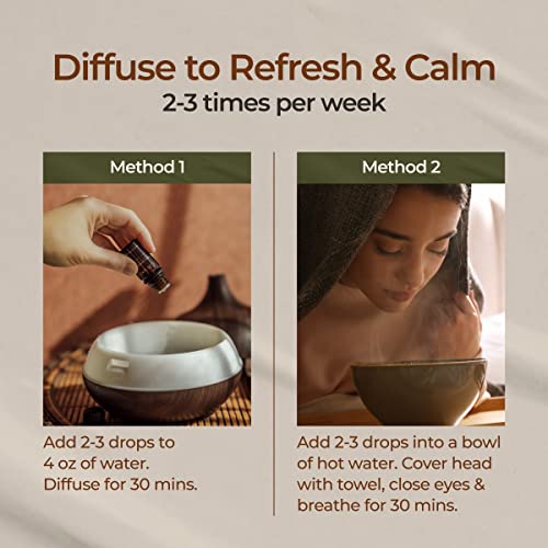 Gya Labs Bay Leaf Essential Oil For Diffuser - Oil Bay For Hair - Bay Laurel Essential Oil - Bay Leaf Essential Oils Are Spicy, Herbaceous Scent (0.34 Fl Oz) #TOP3