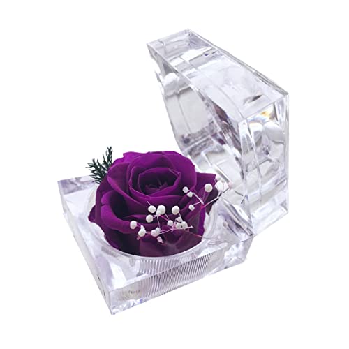 DoraMagic Preserved Rose Real Forever Rose in Mini Clear Ring Box, Eternal Flower Rose Gifts for Women Mom Girlfriend Grandma, Mothers Day, Anniversary, Valentines, Christmas, Birthday (Purple)