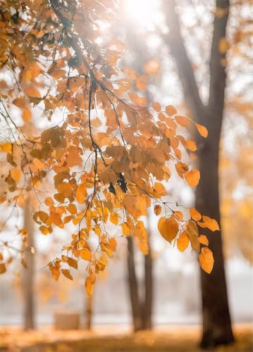 Tableau feuilles d'automne 40x60cm avec cadre pour un salon chaleureux