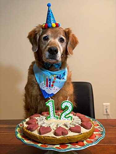 Dog Birthday Bandana Hat Scarf Dog Birthday Party Supplies Triangle Scarf with 0-8 Numbers - Image 8