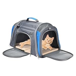 DDOXX transportbox Katze – Airplane Tiertransporttasche aus Netzgewebe – Flugzeugtauglich, Autositz, mobiles Hundebett, mit Tasche & herausnehmbarem Einsatz, inkl. Leine – 49x30x33 cm