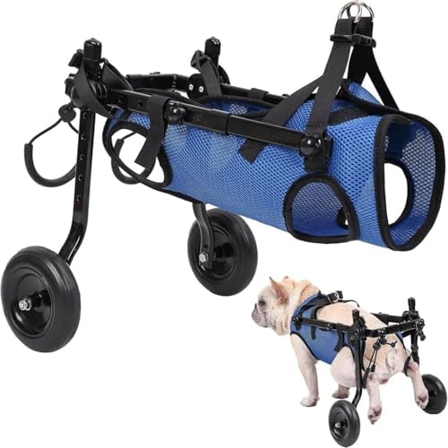 犬用車椅子、後足用犬用車椅子 - 2輪犬用移動カート（5.5～22ポンドの犬用） - 怪我をしたり障害のあるペットに最適 - サポー