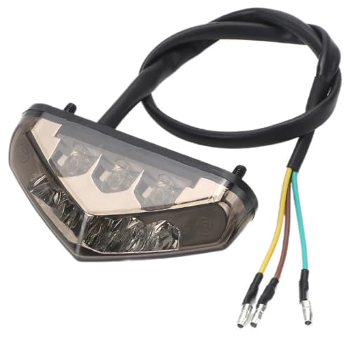 Feu arrière LED pour motos avec support de plaque et feux de jour