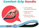 Voyager Reflective Dog Leash with Neoprene Handle, 5ft Long, Supports Small, Medium, and Large Breed Puppies, Cute and Heavy Duty for Walking, Running, and Training - Baby Blue (Leash), M